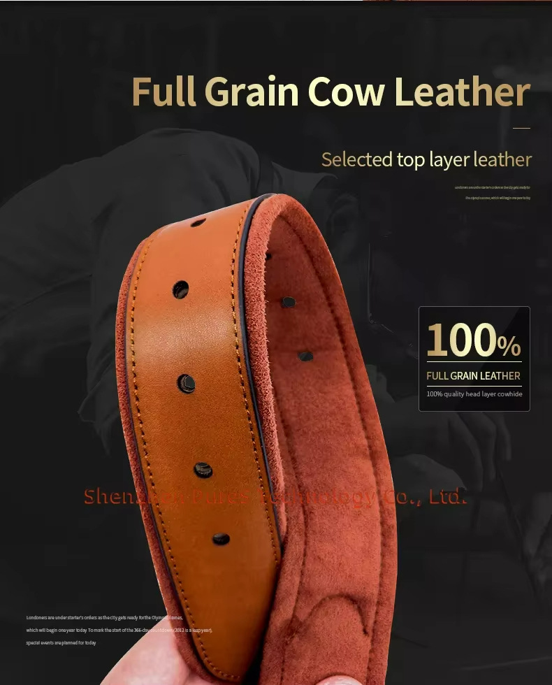 Leather Dog Collar with Tracke - Airtag Holder Case ulasan dan harga