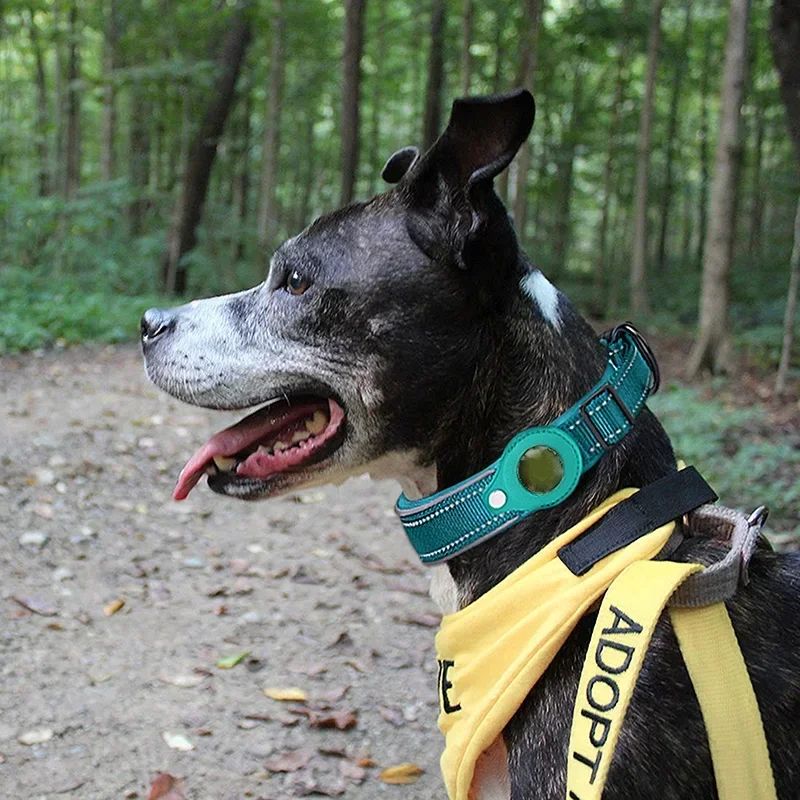 Waterproof Anti-Lost Dog Colla - Airtag Holder Case ulasan dan harga